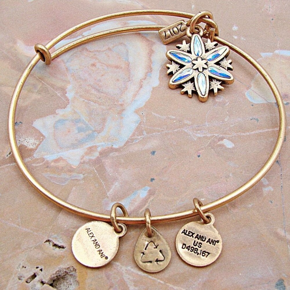 Alex & Ani Slide Bangle Charm Bracelet Crystal Snowflake Path Symbols Gold Tone